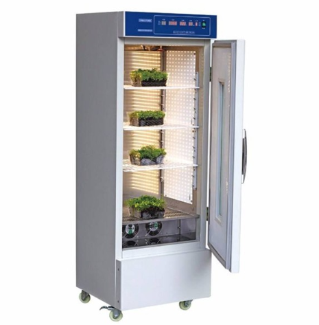 拟南芥培养箱